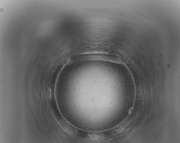 X0000063480703200601271655