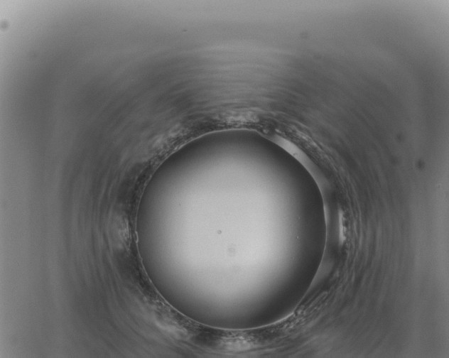 X0000063480704200601271655