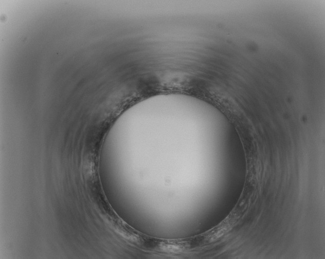 X0000063480706200601271655