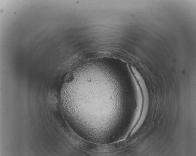 X0000063480707200601271655