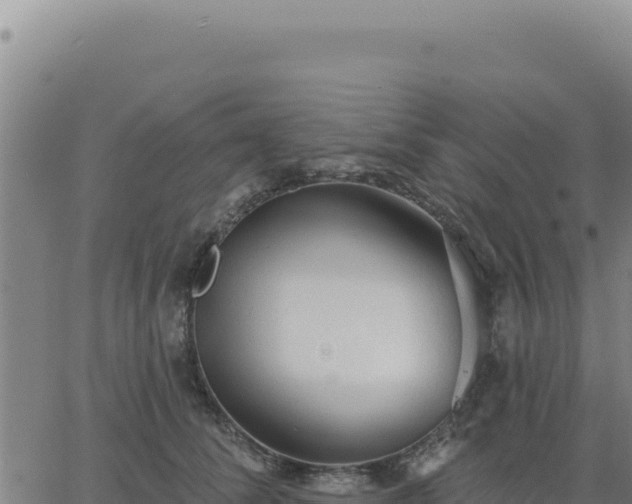 X0000063480708200601271655