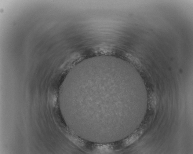 X0000063480709200601271655