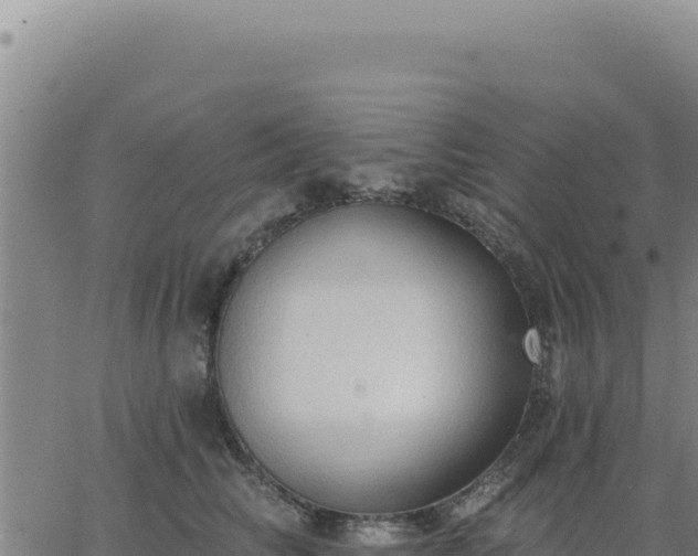 X0000063480710200601271655