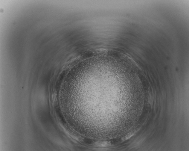 X0000063480711200601271655