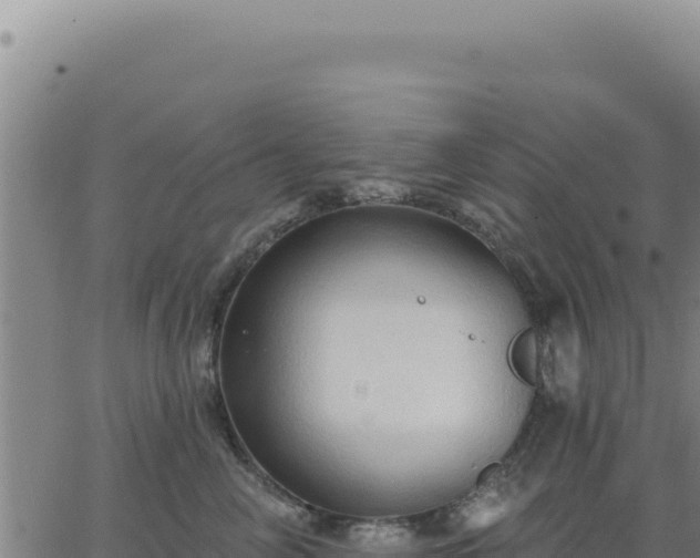 X0000063480714200601271655