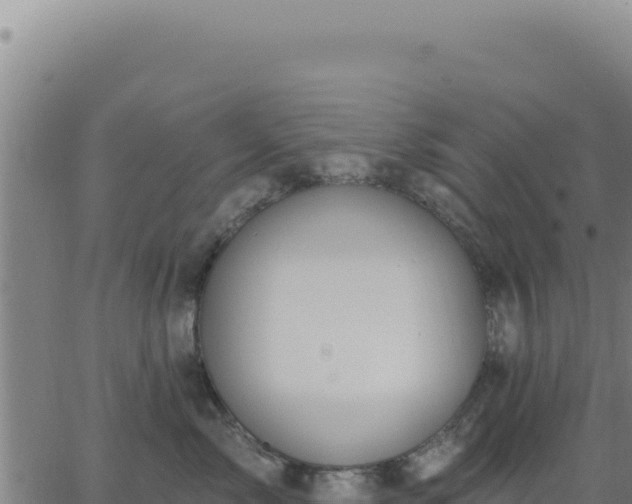 X0000063480717200601271655