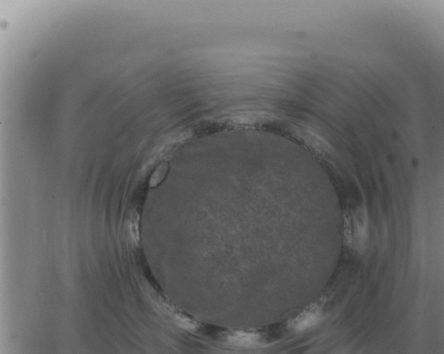 X0000063480718200601271655