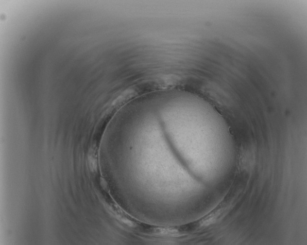 X0000063480719200601271654