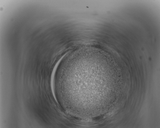 X0000063480720200601271654