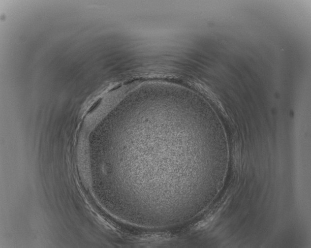 X0000063480721200601271654