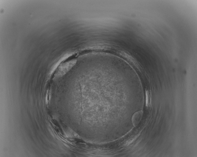 X0000063480723200601271654