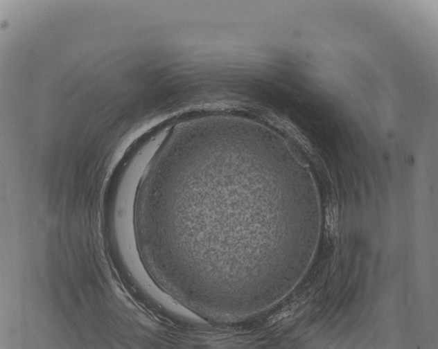 X0000063480724200601271654