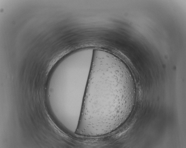 X0000063480725200601271654