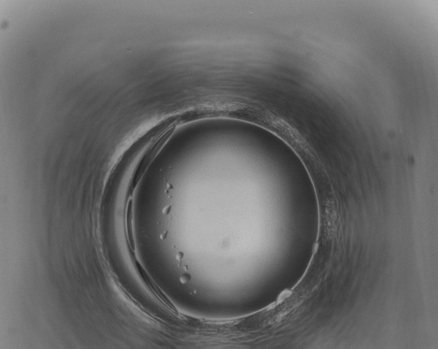 X0000063480726200601271654