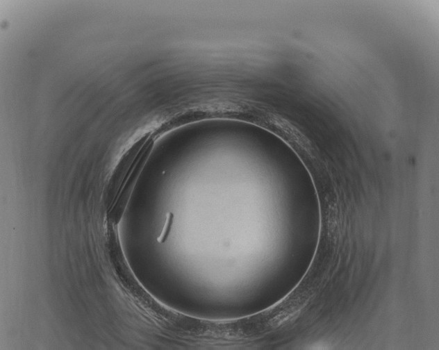 X0000063480727200601271654