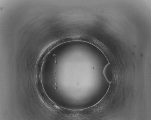 X0000063480728200601271654