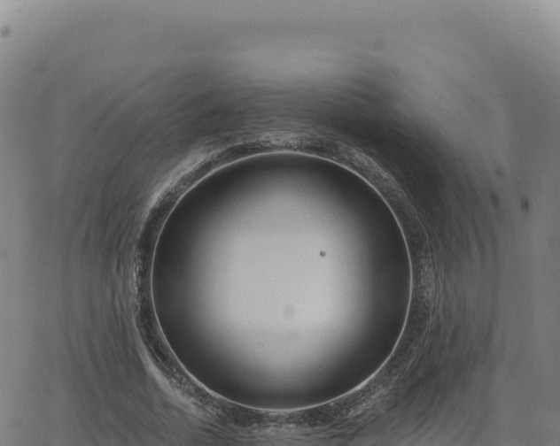 X0000063480730200601271654