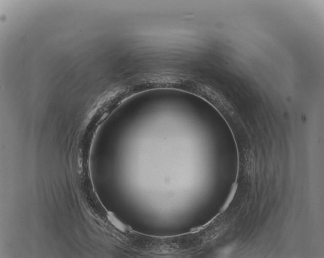 X0000063480731200601271654