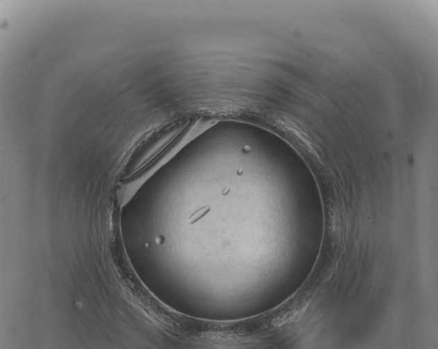 X0000063480733200601271654