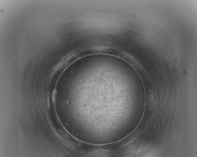 X0000063480734200601271654