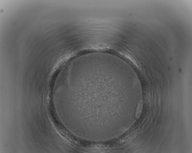 X0000063480736200601271654