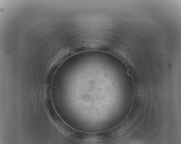 X0000063480738200601271654