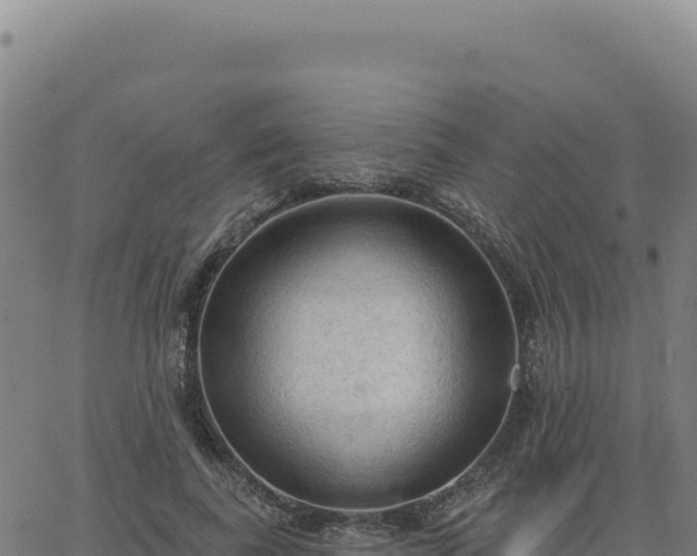 X0000063480739200601271654