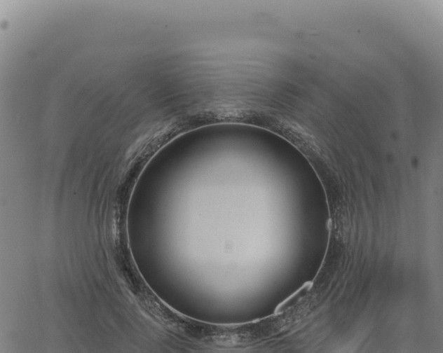 X0000063480740200601271654