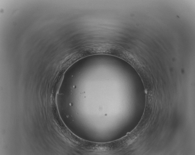 X0000063480741200601271654