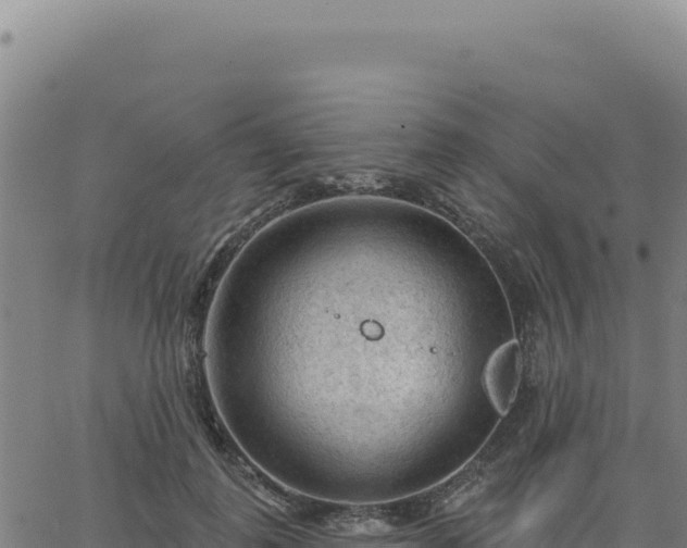 X0000063480747200601271654