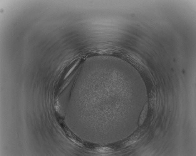 X0000063480748200601271654