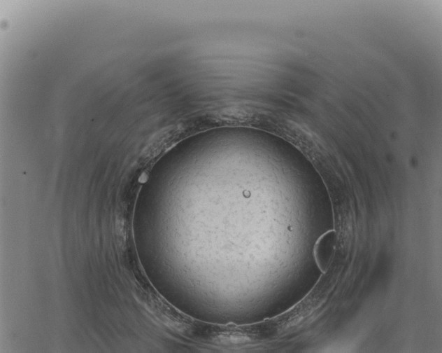 X0000063480749200601271654