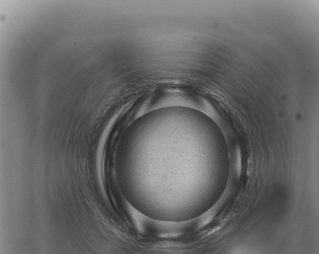 X0000063480750200601271654