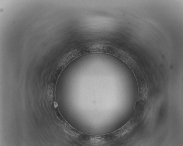 X0000063480753200601271654