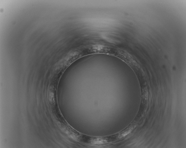 X0000063480754200601271654