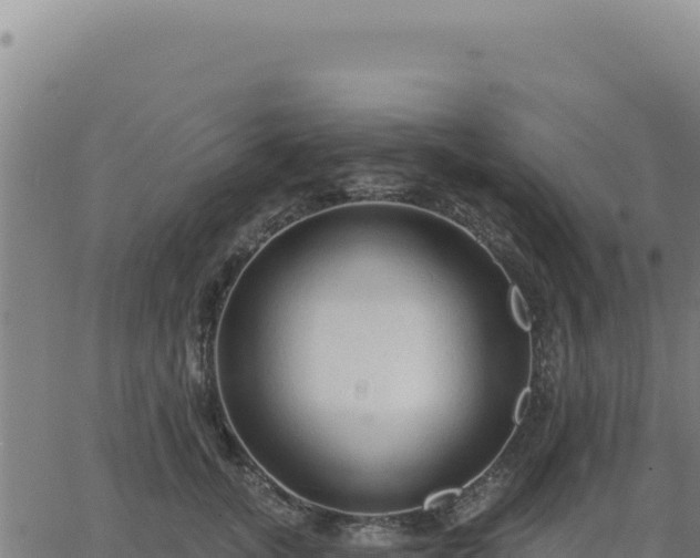 X0000063480755200601271654