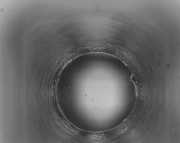 X0000063480756200601271654