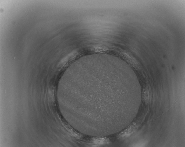 X0000063480757200601271654