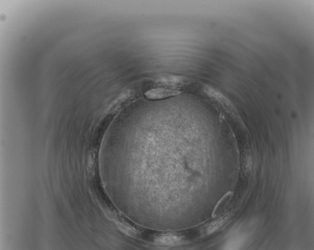 X0000063480759200601271654