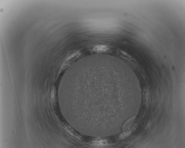 X0000063480760200601271654