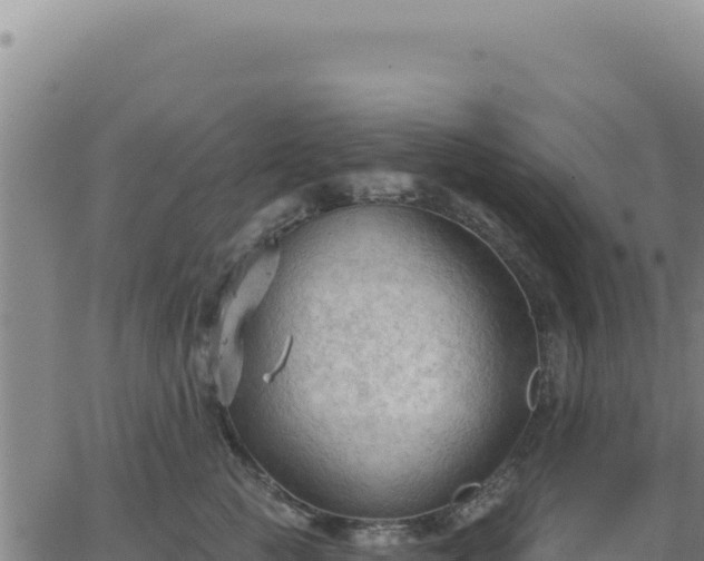 X0000063480761200601271654