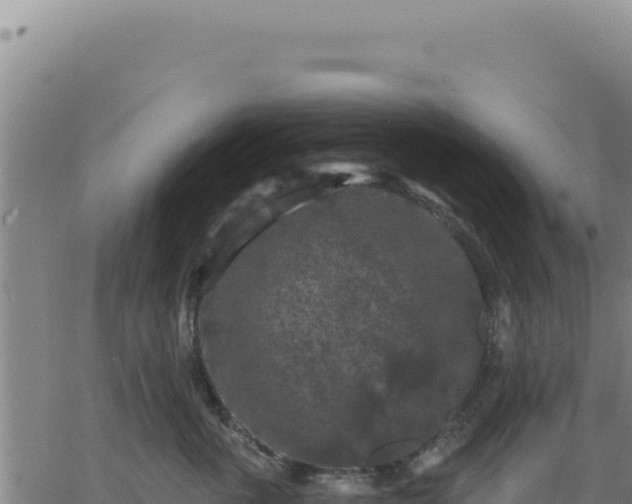 X0000063480763200601271654