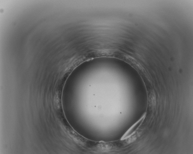 X0000063480764200601271654