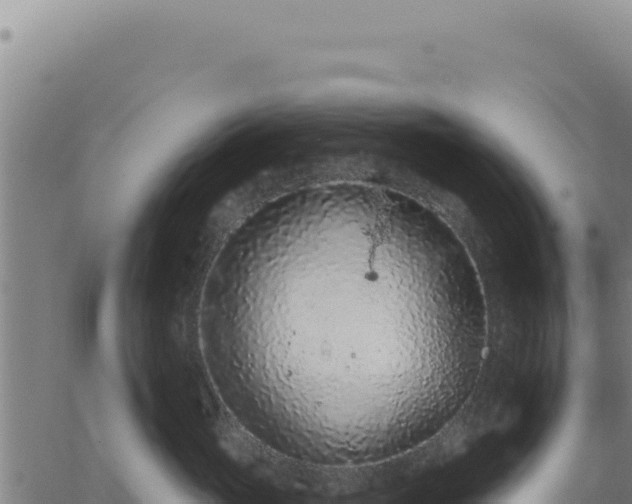 X0000063480765200601271654