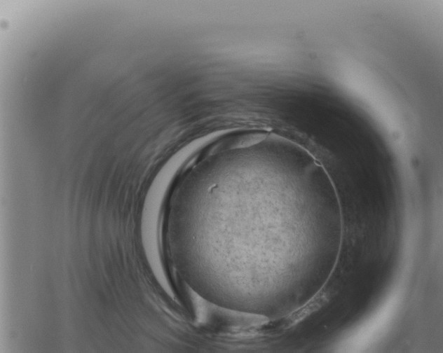 X0000063480766200601271654