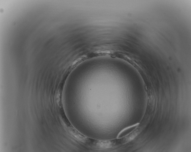 X0000063480767200601271654