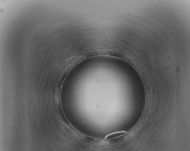 X0000063480768200601271654