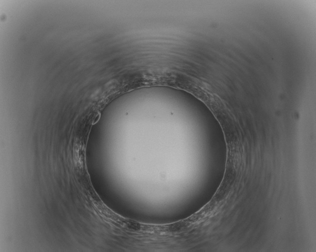 X0000063480770200601271654