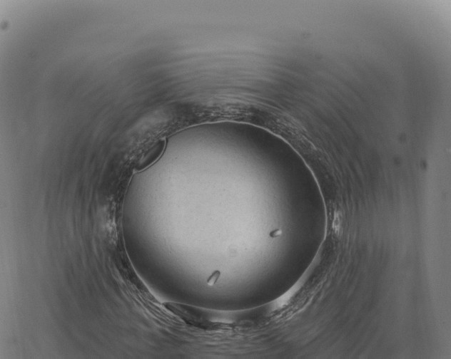 X0000063480771200601271654