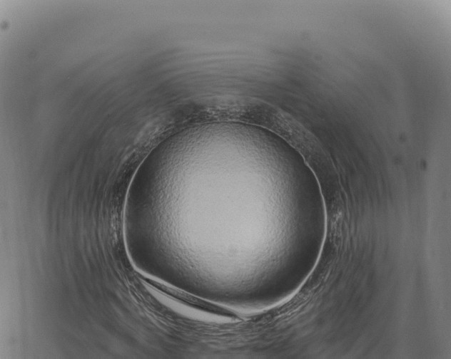 X0000063480772200601271654